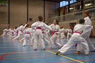 Karateka's dragen roze gordel tegen borstkanker