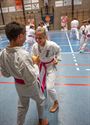 Karateka's dragen roze gordel tegen borstkanker