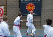 Karateka's dragen roze gordel tegen borstkanker