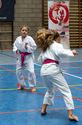 Karateka's dragen roze gordel tegen borstkanker