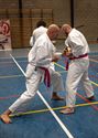 Karateka's dragen roze gordel tegen borstkanker
