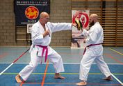 Karateka's dragen roze gordel tegen borstkanker