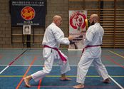 Karateka's dragen roze gordel tegen borstkanker