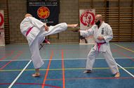 Karateka's dragen roze gordel tegen borstkanker