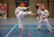 Karateka's dragen roze gordel tegen borstkanker