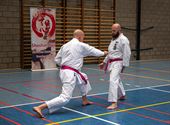 Karateka's dragen roze gordel tegen borstkanker