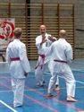 Karateka's dragen roze gordel tegen borstkanker