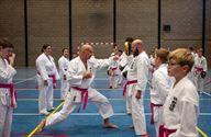 Karateka's dragen roze gordel tegen borstkanker