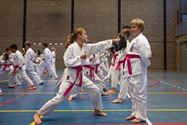 Karateka's dragen roze gordel tegen borstkanker