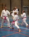Karateka's dragen roze gordel tegen borstkanker