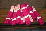 Karateka's dragen roze gordel tegen borstkanker