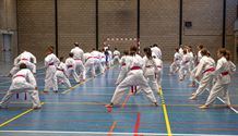 Karateka's dragen roze gordel tegen borstkanker