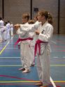 Karateka's dragen roze gordel tegen borstkanker