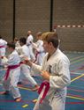 Karateka's dragen roze gordel tegen borstkanker