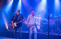 Drie bands gaven van katoen