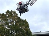 Hoornaarsnesten blijven opduiken