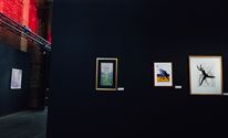 Een diversiteit aan kunstzinnige werken