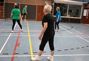 Limburgse senioren bekampen elkaar in netbal