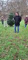 Kerstboom uit Brilon is aangekomen