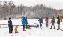 Erg uitdagende opdrachten voor de reddingshonden