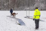 Erg uitdagende opdrachten voor de reddingshonden
