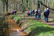 Met 44 op wandel aan Meylandt en de Mangelbeek