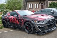 Mustang Fever start goed ondanks kwakkelweer