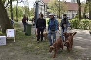 Baasjes en honden wandelden naar De Kluis
