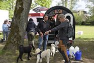Baasjes en honden wandelden naar De Kluis