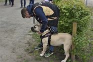 Baasjes en honden wandelden naar De Kluis