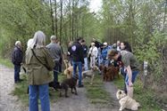 Baasjes en honden wandelden naar De Kluis