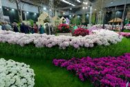 Neos bezocht het SMAK en de Gentse Floraliën