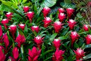 Neos bezocht het SMAK en de Gentse Floraliën