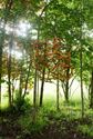 'Tijdsporen' kende een succesvolle vernissage