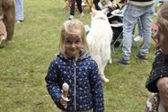 Foodtruckfestival gaat rustig van start