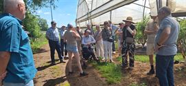 Okra Zolder bezocht aardbeien Boermans