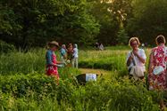 Een bijzondere nocturne op een zomerse avond