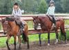 Heel de zomer paardenkampen