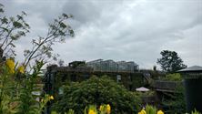 Pasar ging op treinuitstap naar Berchem