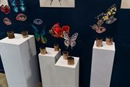 Schatten van Vlieg en expo Zien in Luchtfabriek