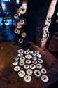 Laatste week Schatten van Vlieg en expo Zien