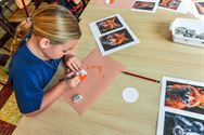 De Droomboom heeft voor ieder wat wils