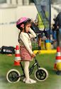 De zon kwam tevoorschijn voor Zolder Leeft
