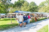 Massa volk en veel plezier op Wijersfeest op Bovy