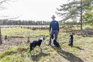 Herders: idylische job met veel zorgen