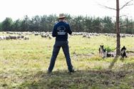 Herders: idylische job met veel zorgen