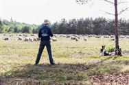 Herders: idylische job met veel zorgen