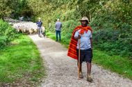 Herders: idylische job met veel zorgen
