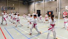 Roze karategordel in de strijd tegen borstkanker