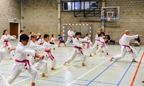 Roze karategordel in de strijd tegen borstkanker